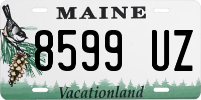 ME license plate 8599UZ