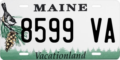 ME license plate 8599VA