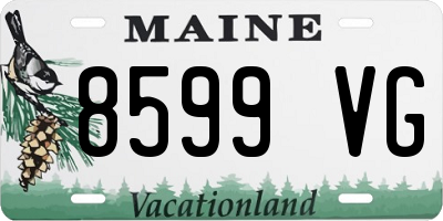 ME license plate 8599VG