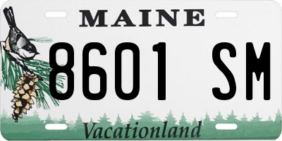 ME license plate 8601SM