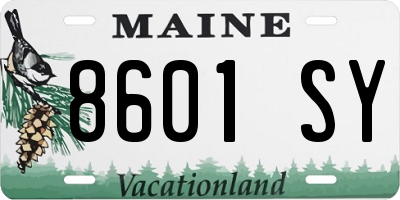 ME license plate 8601SY