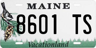 ME license plate 8601TS
