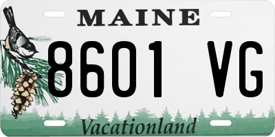 ME license plate 8601VG