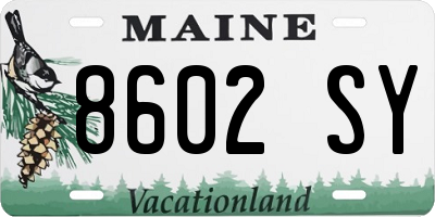 ME license plate 8602SY