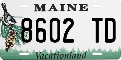 ME license plate 8602TD