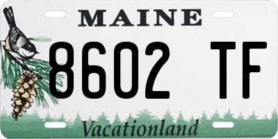 ME license plate 8602TF