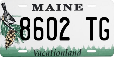 ME license plate 8602TG