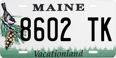 ME license plate 8602TK