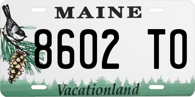 ME license plate 8602TO