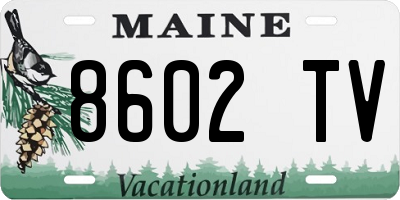 ME license plate 8602TV