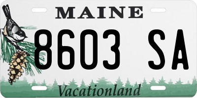 ME license plate 8603SA