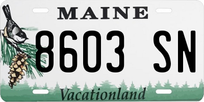 ME license plate 8603SN