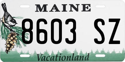 ME license plate 8603SZ