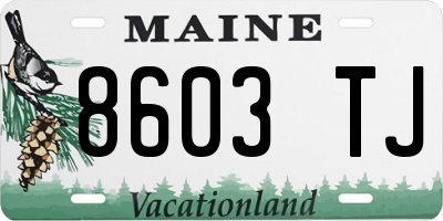 ME license plate 8603TJ