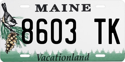 ME license plate 8603TK