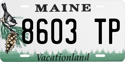 ME license plate 8603TP