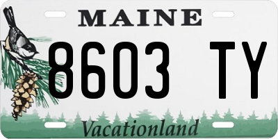 ME license plate 8603TY