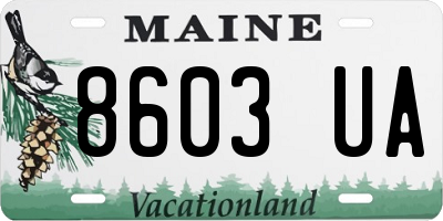 ME license plate 8603UA