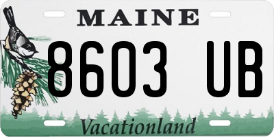 ME license plate 8603UB
