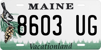 ME license plate 8603UG