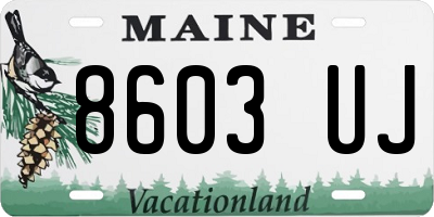 ME license plate 8603UJ