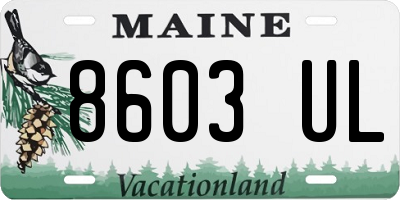 ME license plate 8603UL