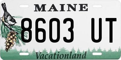 ME license plate 8603UT