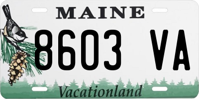 ME license plate 8603VA