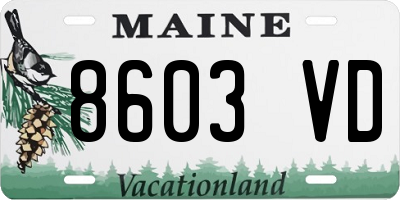 ME license plate 8603VD