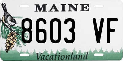ME license plate 8603VF