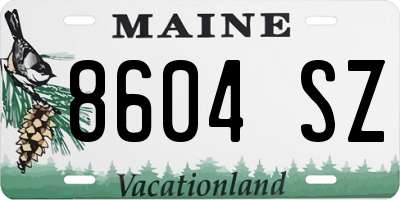 ME license plate 8604SZ