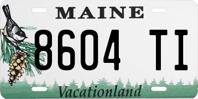 ME license plate 8604TI