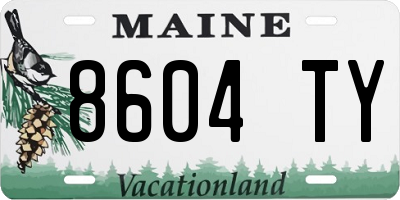 ME license plate 8604TY