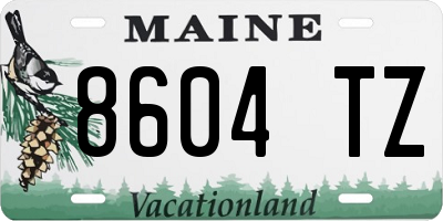 ME license plate 8604TZ