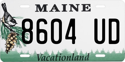 ME license plate 8604UD