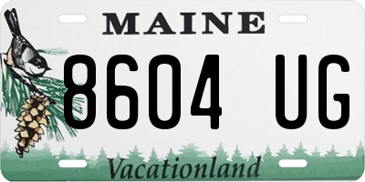 ME license plate 8604UG