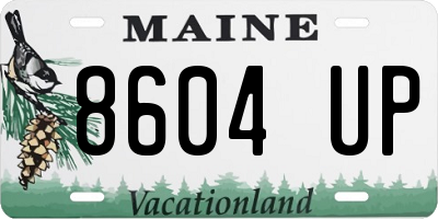 ME license plate 8604UP