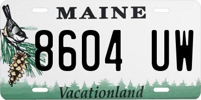 ME license plate 8604UW