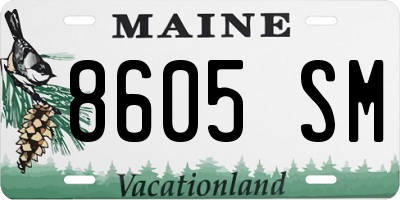 ME license plate 8605SM