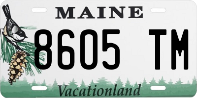 ME license plate 8605TM