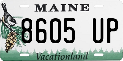 ME license plate 8605UP