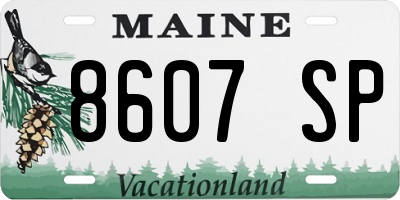 ME license plate 8607SP