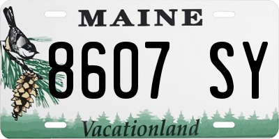 ME license plate 8607SY