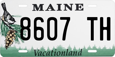ME license plate 8607TH