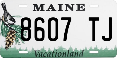 ME license plate 8607TJ