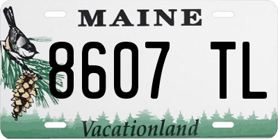 ME license plate 8607TL