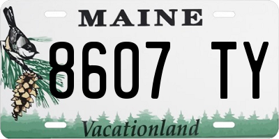 ME license plate 8607TY