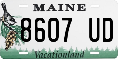 ME license plate 8607UD