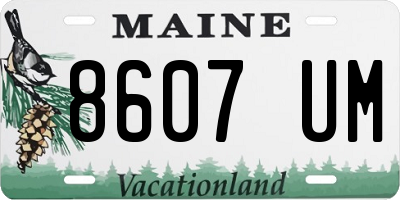 ME license plate 8607UM