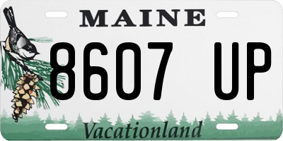 ME license plate 8607UP